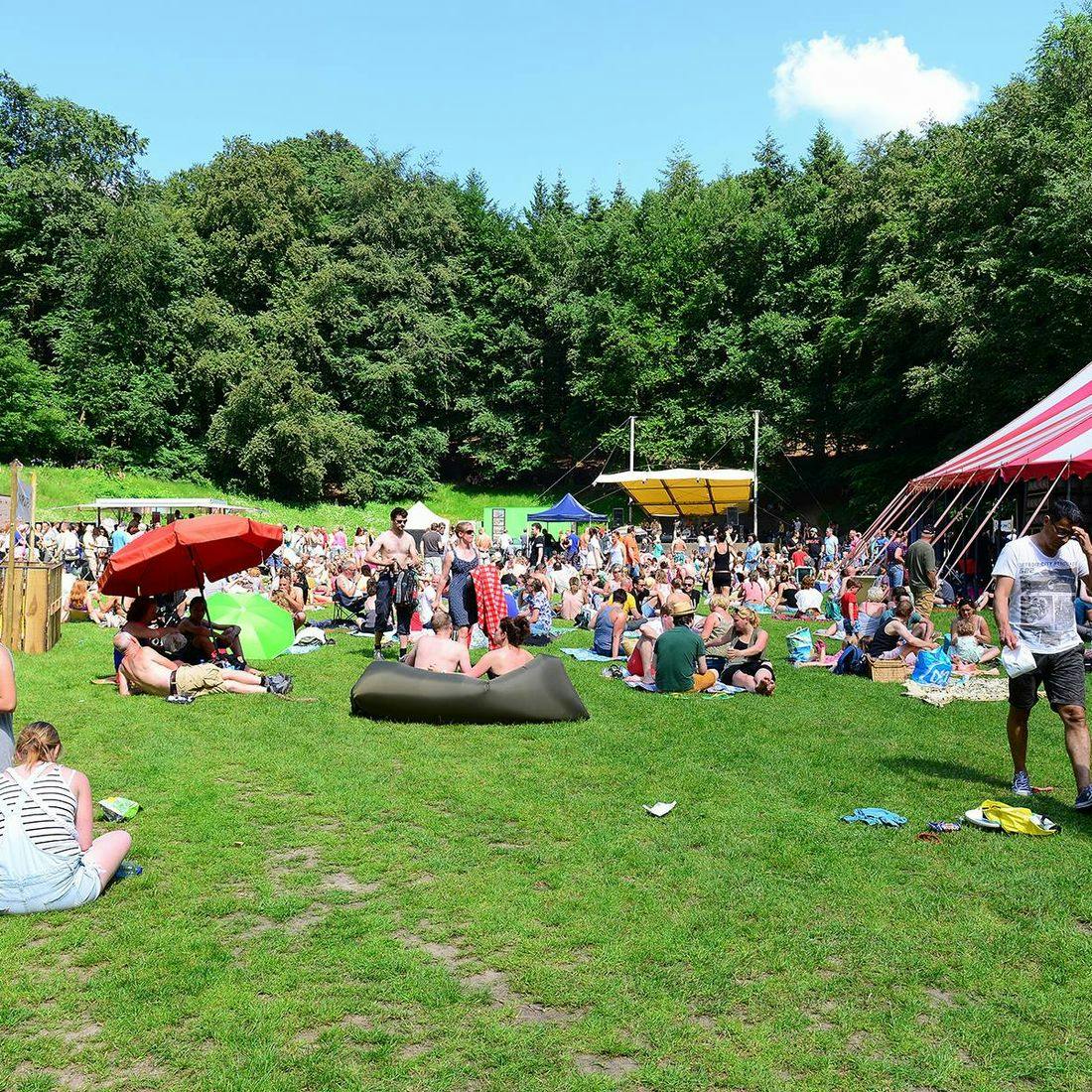 Foto van een zonnig en gezellig festival in een groene, bosrijke omgeving